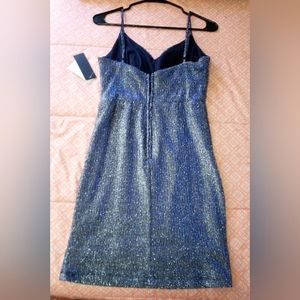 Beautiful Sparkling Dress